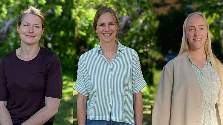Från vänster: Anna Weibull Wärnberg vid Karolinska universitetssjukhuset, Josefine Beck-Friis vid Sahlgrenska universitetssjukhuset och Linnea Hartman vid  universitetssjukhuset Örebro får Pfizers och SILFs infektionsstipendium 2024