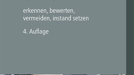 Typische Bauschäden im Bild, 4. Auflage (2D/jpg) 