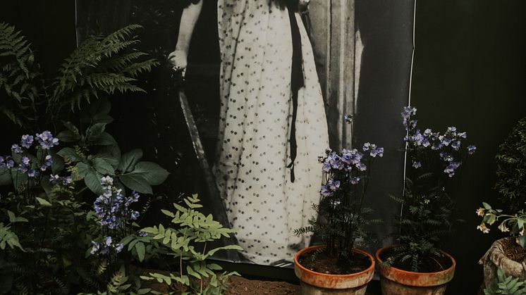 Somdeälskadesinträdgård_norrviken_2025_anna-nyman_4.jpg