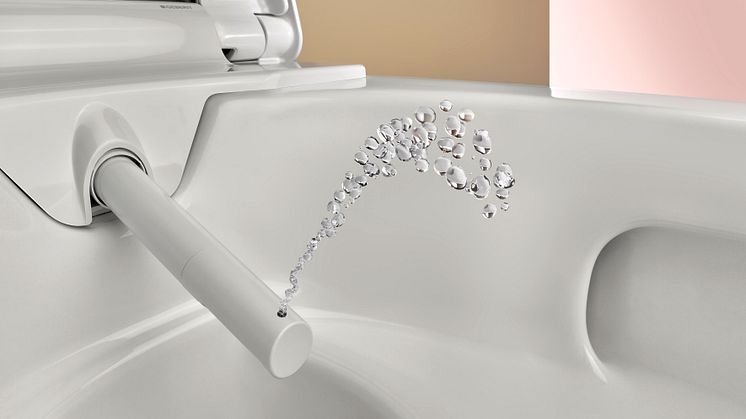 02_Geberit_AquaClean_Alba.jpg