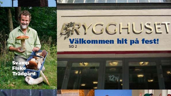 Fladdermusnatt och miljödebatt, betongskådning och Bhangra