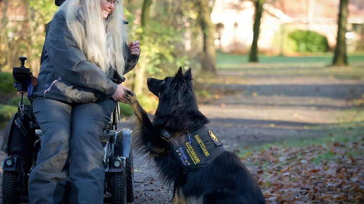 Gino är Årets Tjänstehund 2024 här med matte Annika Bengtsson Foto Hanna Nilsson.jpg