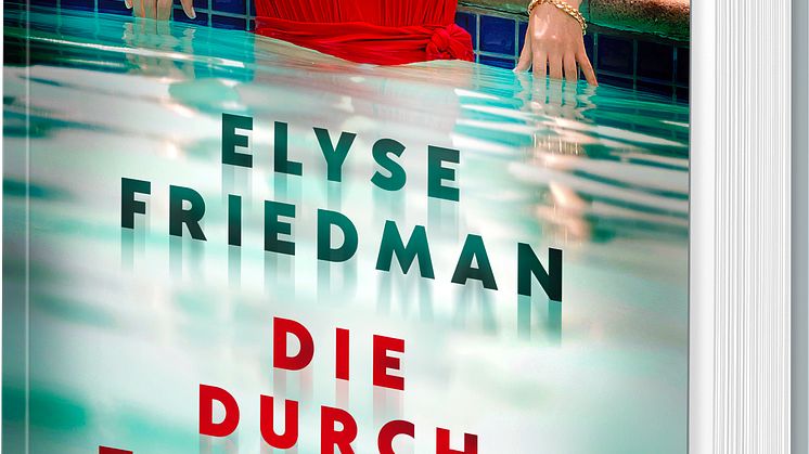 Cover_Die Durchtriebenen 3 D.png