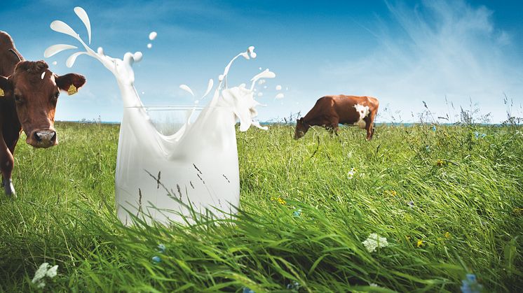 Arla Ingman - Lähempänä Luontoa™