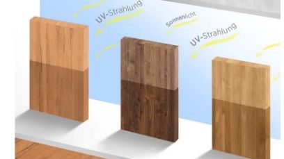 TH_News_250210_Projekt_Wave_Illustration_Holz.jpg
