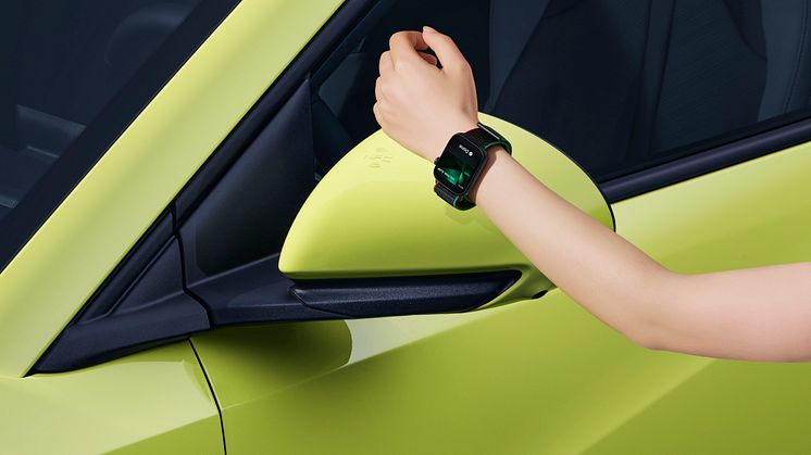 10, DolphinSurf_LHD_Green_NFC_Download_JPG 5000PX.jpg