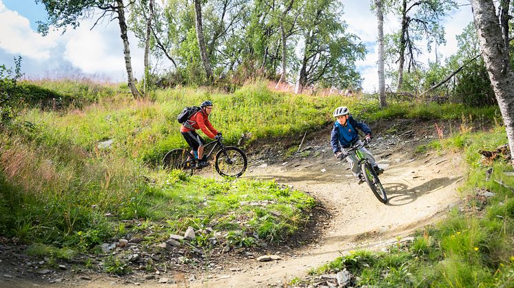 Downhill (17).jpg
