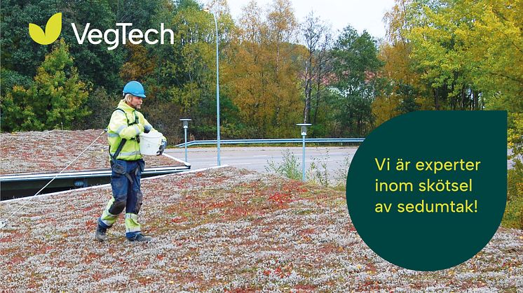 VegTech erbjuder serviceavtal för sedumtak