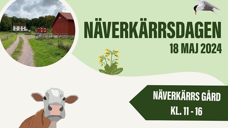 Näverkärrsdagen 2024.jpg