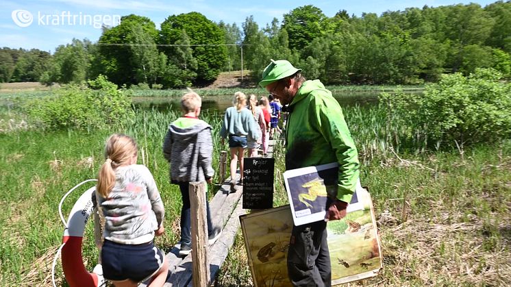 Grodliv i Snogeholm