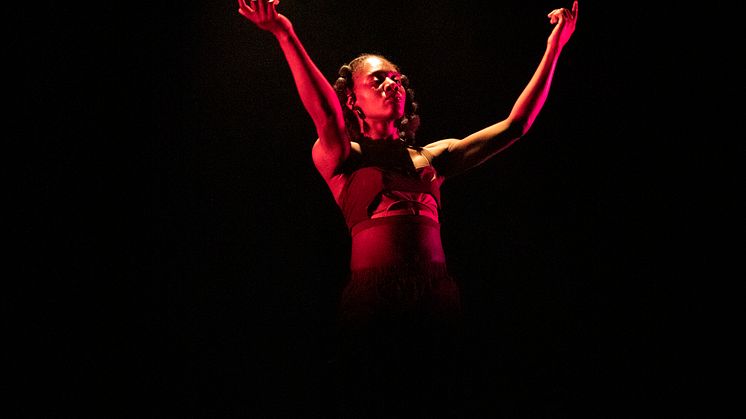 Company Nicolas Huchard - The barefoot diva