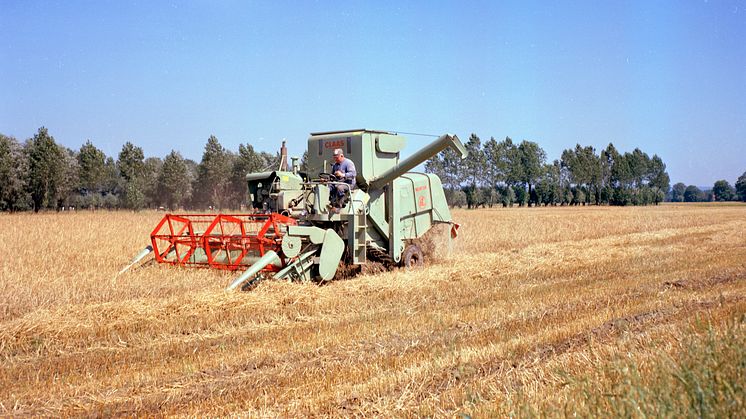 696629_25.jpg