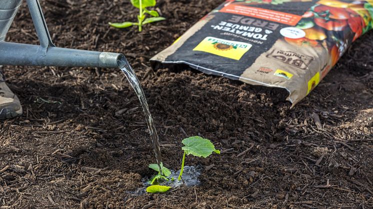 NeudoHum Tomaten- und GemüseErde_25-02 (2).jpg