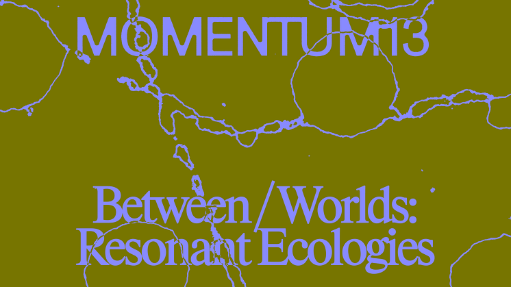 MOMENTUM 13. Design: Blank Blank. 