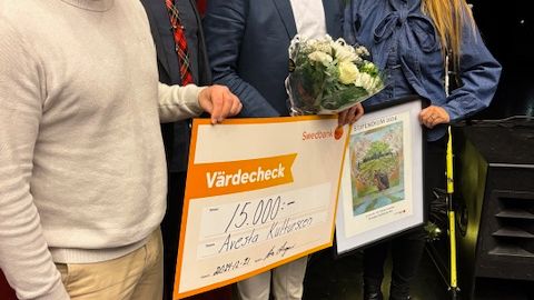 Avesta kulturscen2.jpeg