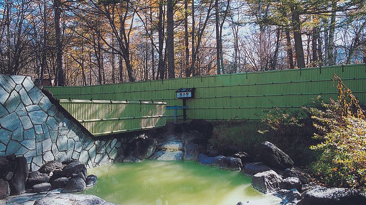 Nikko Astrea Hotel Onsen