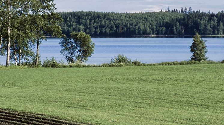Foto: Mostphotos