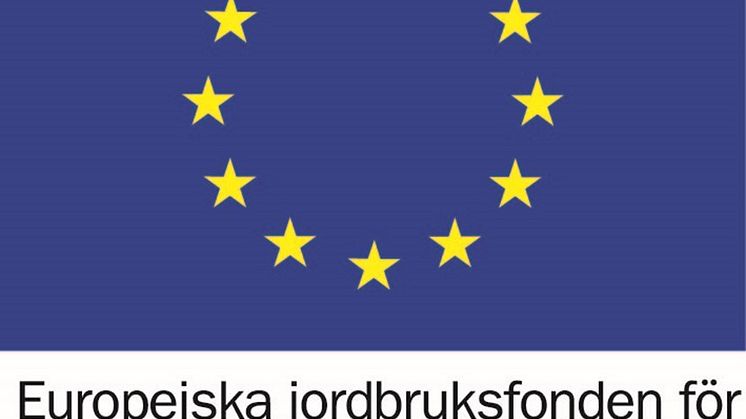 EU-flagga.jpg