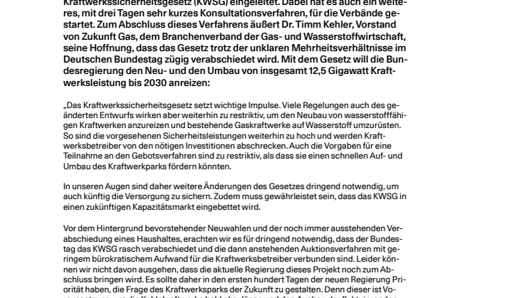 20241128_Pressestatement_Konsultation Kraftwerkssicherungsgesetz.pdf