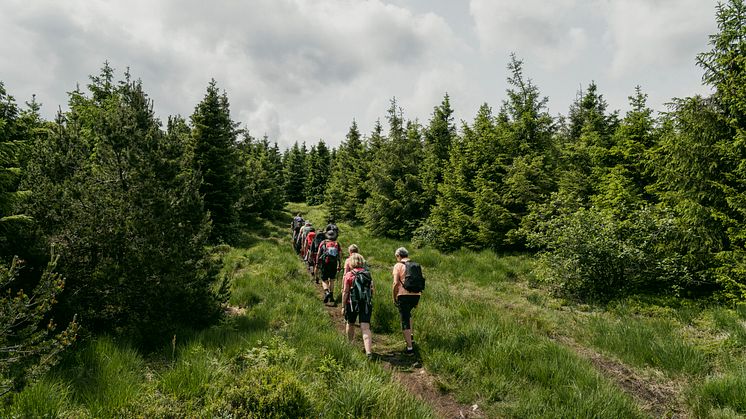 zum Tag des Wanderns gemeinsam die Region entdecken (Foto: TVE/Dirk Rückschloss)