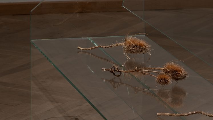 SDM_KHC_009_Photo by David Stjernholm.jpg