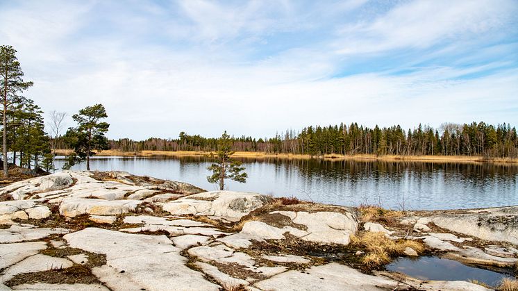 _DSC3089.jpg