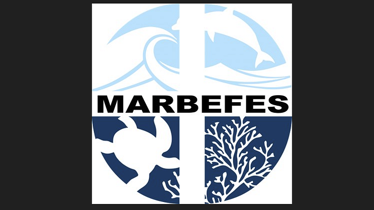 MARBEFES