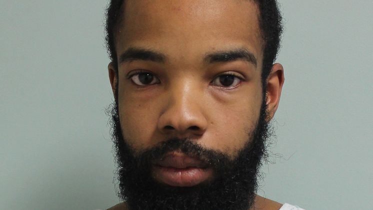 Lewis Benjamin custody image.jpg