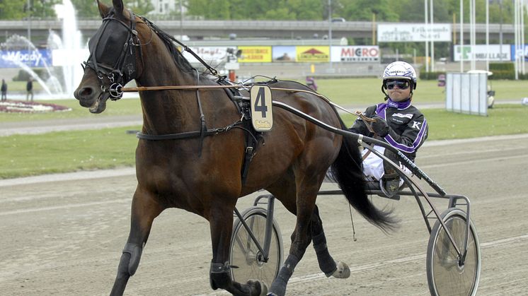 Västerbo Paradise till Solvalla