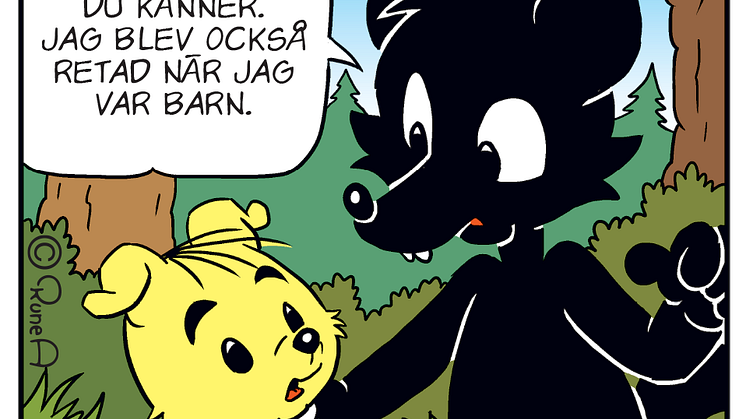 BA15_ruta5.png