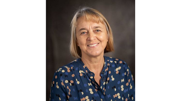 Liselotte Schäfer Elinder, professor vid Karolinska institutet, tilldelas Norhedsstiftelsens preventionsanslag via Hjärt-Lungfonden