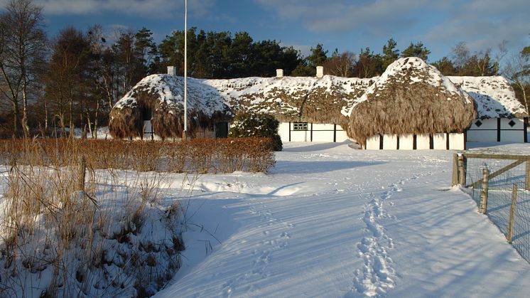 Vinter på øerne @Morten Pihler.JPG