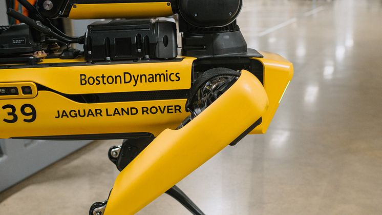 Rover_Robotdog_LyonsPark_TC-7559.jpg