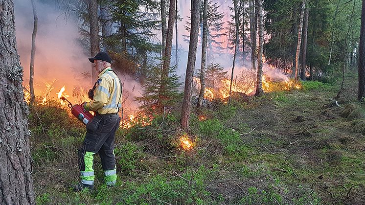 Naturvårdsbränning, naturreservatet Store Mosse