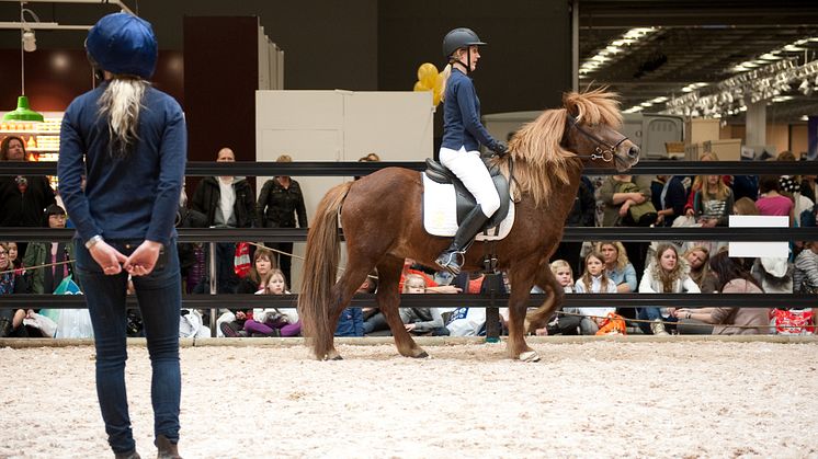 EuroHorse 2012