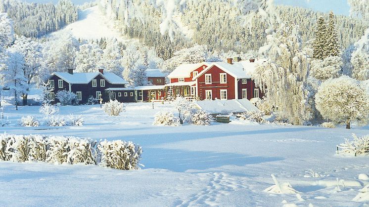 DNs Hotellpatrull faller pladask för Hotell Järvsöbaden