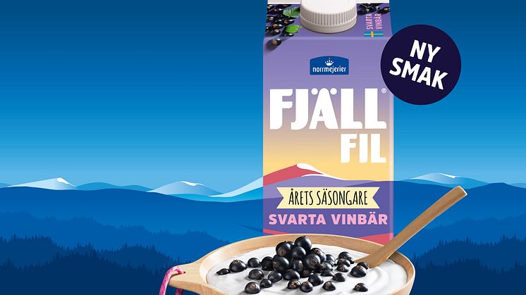 Fjällfil Svarta vinbär