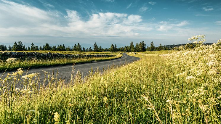 Saint-George-Col-du-Marchairuz_Waadtland