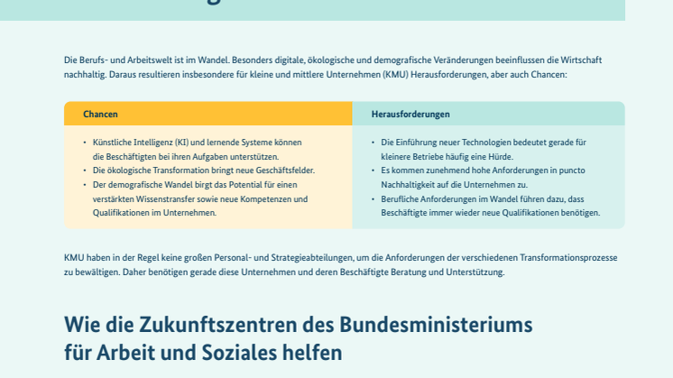 BMAS_ZZ_Factsheet.pdf