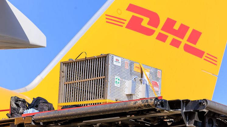 Chocolat exiting the DHL aircraft at EMA.jpg