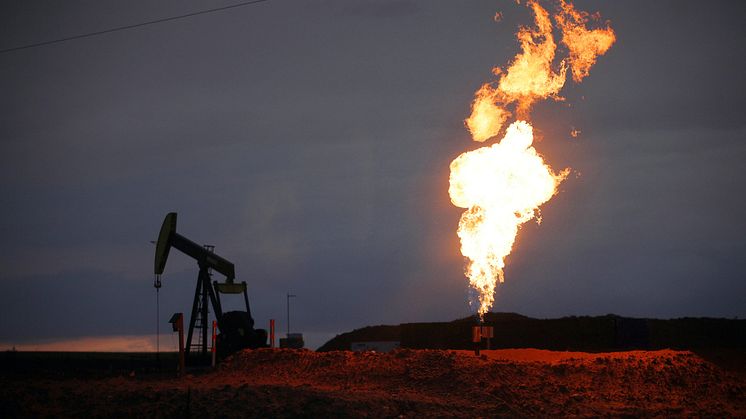 US Natural Gas Producers and Shippers to Benefit from AI Power Surge 