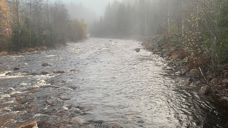 Fämtan, i norra Värmland, är ett av vattendragen som ingår i projektet.