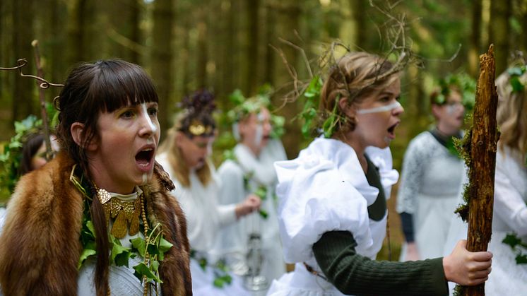 Carolinae_woods_EvaSjögren7.jpg