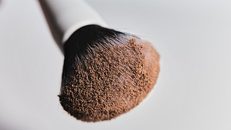 NoCoPowder_PowBrush_LS31.jpg