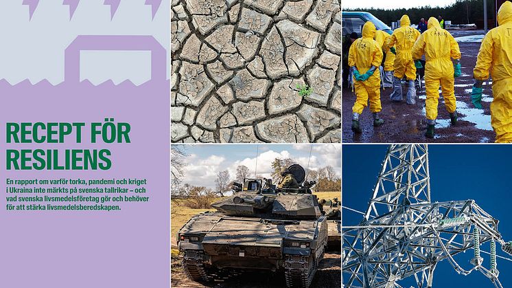 Recept för resiliens – 10 åtgärder för att stärka Sveriges livsmedelsberedskap
