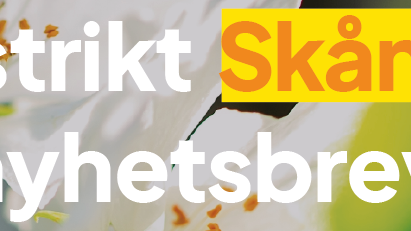 Banner SD Skånes nyhetsbrev.png