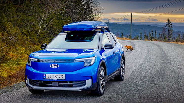 OPPSIKTSVEKKENDE: Selv en forbipasserende rev greide ikke å la være å kaste et langt blikk etter den nye elektriske Ford Explorer