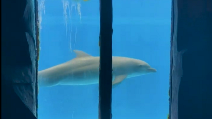 Image 2.png