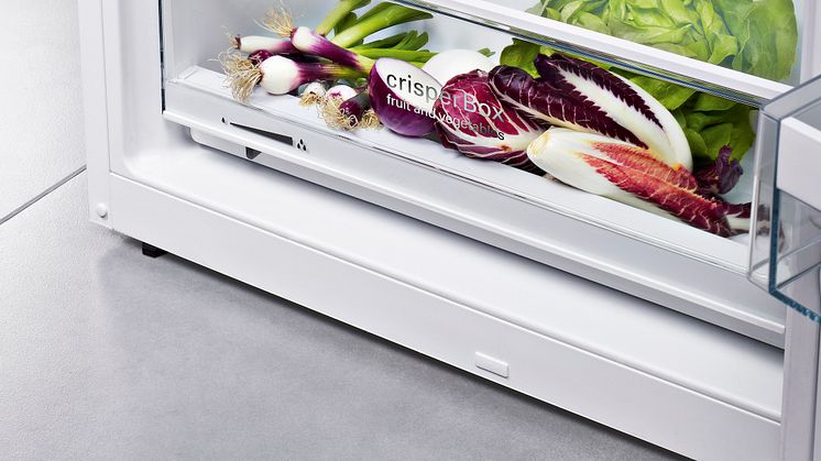 Siemens Cooling Køle-/fryseskab