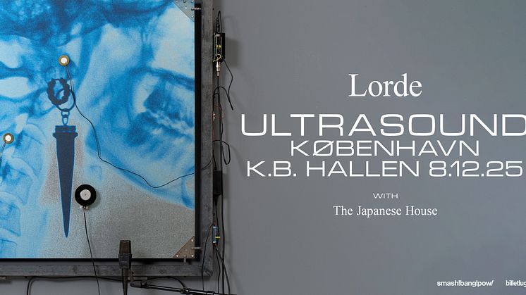 Lorde_event copy.jpg